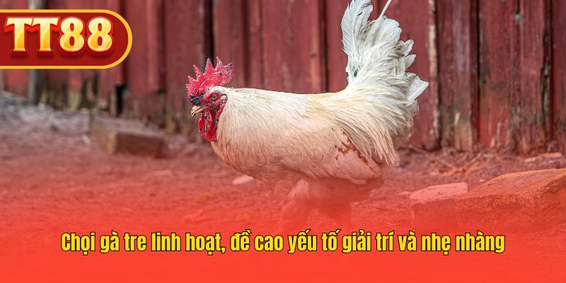 TT88 cung cấp chọi gà tre linh hoạt, dễ tham gia.