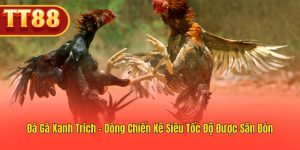 Đá Gà Xanh Trích – Chiến Kê Siêu Tốc Được Yêu Thích