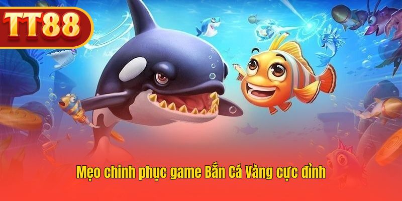 Bí quyết chơi Bắn Cá Vàng cực đỉnh, tăng khả năng thắng tối đa. Bí quyết chơi Bắn Cá Vàng cực đỉnh, tăng khả năng thắng tối đa.